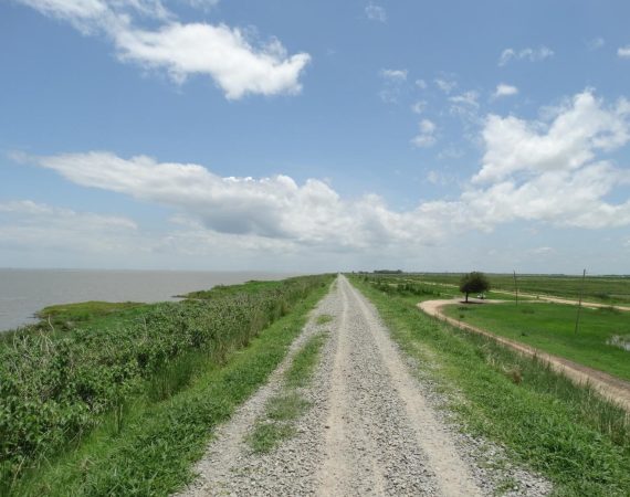 image-26
